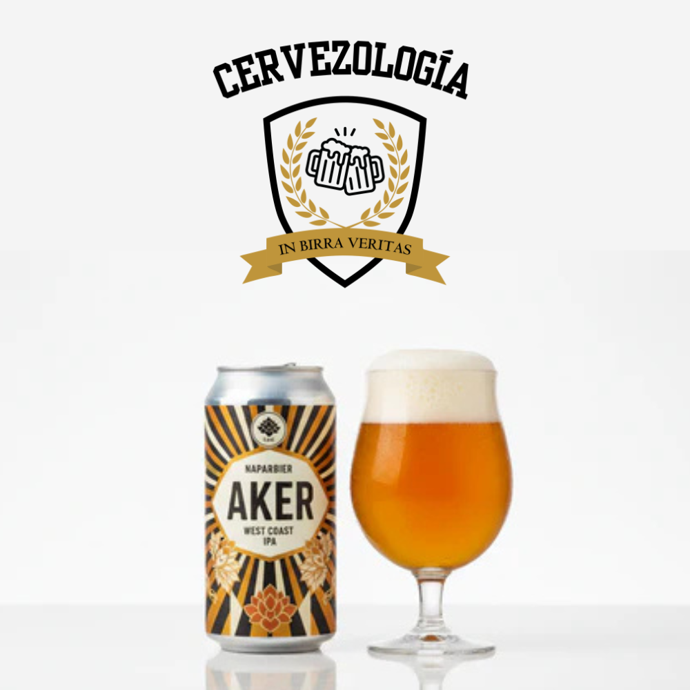 Las 10 Mejores Cervezas Artesanales de España 2025: Guía Definitiva para Auténticos Cervezólogos